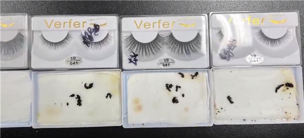 頭皮發(fā)麻！海關(guān)查獲“有毒”快件：612只螞蟻、37只蝎子 全是外來(lái)物種