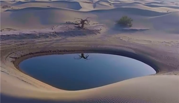 新疆沙漠湖泊宛如寶石散落一地 要變綠洲了嗎？