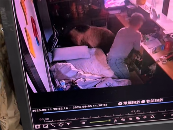 男子凌晨睜眼床邊站了一頭熊 逃跑不忘拿手機(jī) 網(wǎng)友：情緒穩(wěn)定