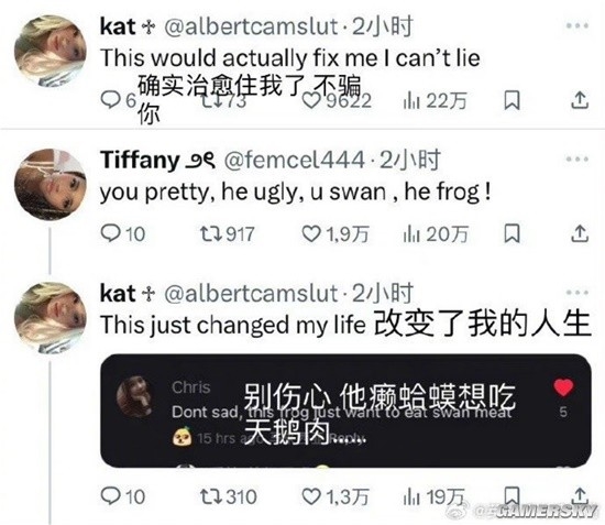 中式英語成海外爆梗 老外折服：you swan he frog