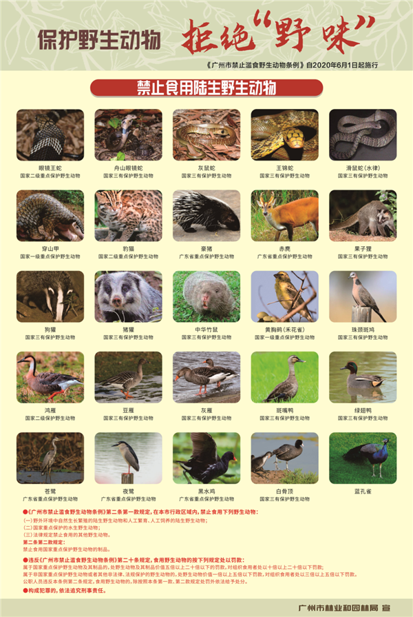 蛇類可以吃了  廣州辟謠：切勿以身試法！