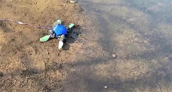 美國(guó)科學(xué)家成功研發(fā)水陸兩棲機(jī)器人：海龜見了想認(rèn)親