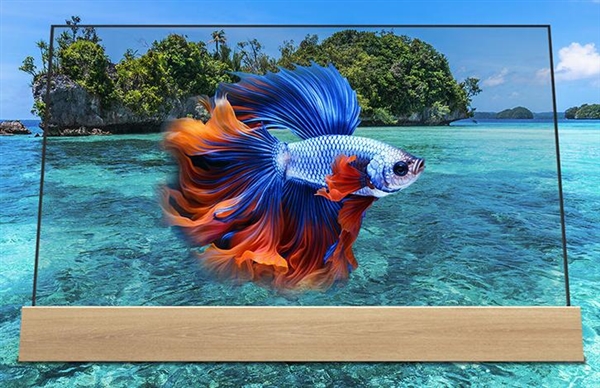 66900元 飛利浦推出“水木清華”55寸透明OLED電視：支持觸控