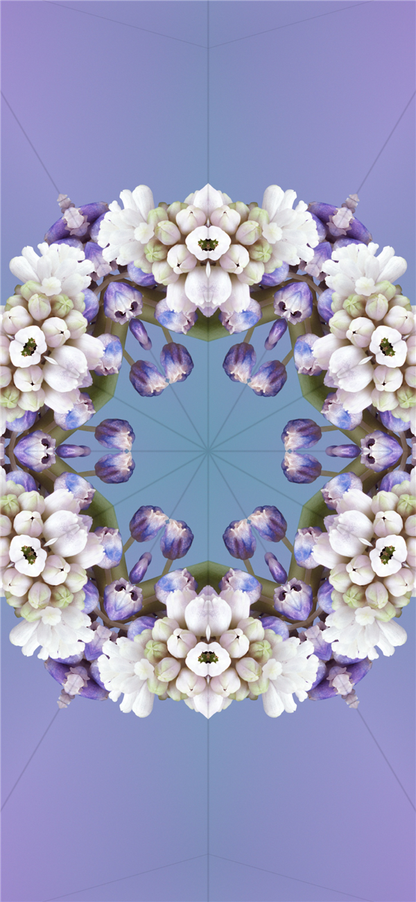 蘋果iOS 17正式版已推送！原裝高清壁紙分享