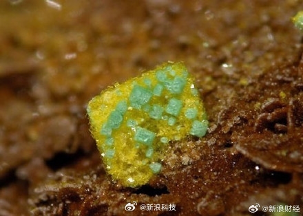 不得了！我國(guó)發(fā)現(xiàn)萬(wàn)噸至十萬(wàn)噸級(jí)鈾礦床：鈾-235是最基本核燃料