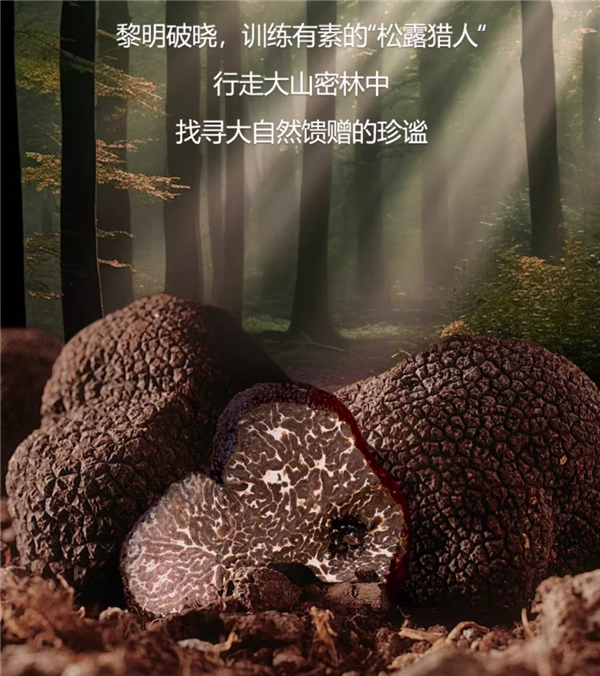 買餅干吃上黑松露！大耳牛蘇打餅干大促：立減40元 16.9到手