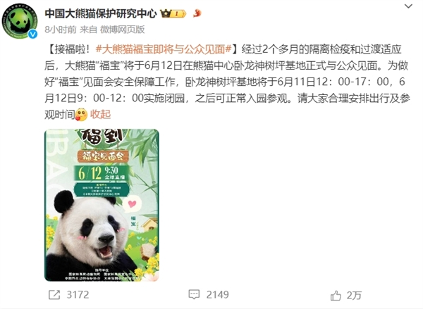 大熊貓福寶6月12日將與公眾見(jiàn)面：主播多次違規(guī)直播福寶被終身禁入
