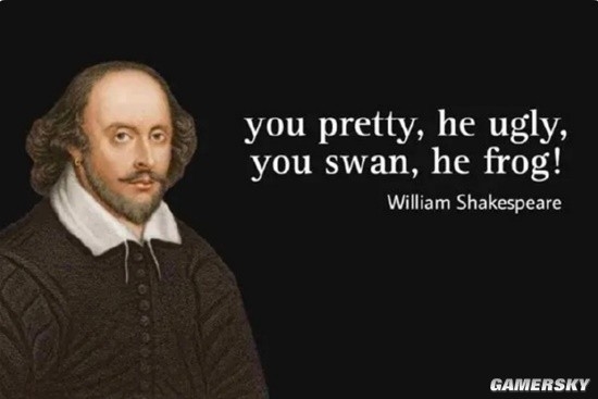 中式英語成海外爆梗 老外折服：you swan he frog