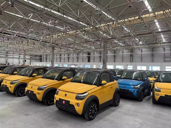 空手套66億后董事長遠遁美國 664輛賽麟邁邁上架拍賣：1300多萬