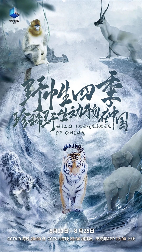 中國(guó)世界級(jí)野生動(dòng)物大片！《野性四季》今日央視開(kāi)播