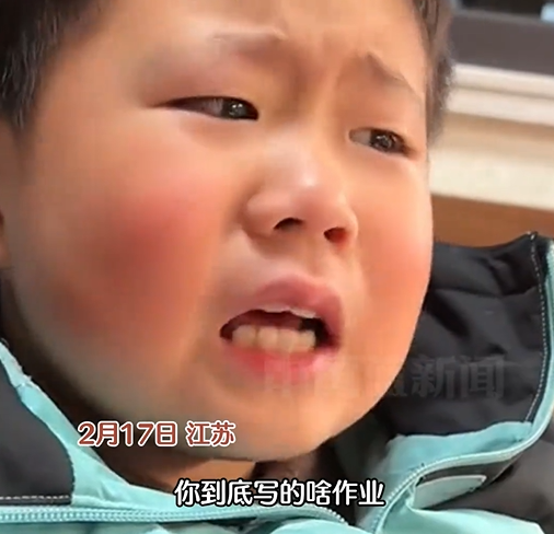 媽媽沒寫寒假作業(yè)氣哭兒子：網(wǎng)友直呼學(xué)校反了天了