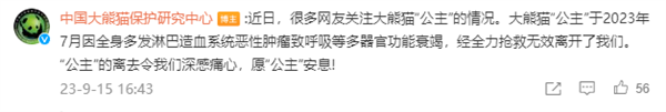 大熊貓“公主”和“融融”已離世：官方公布原因令人痛心