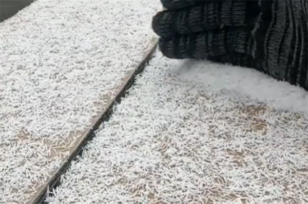 30年來頭次見！安徽一女子拍下罕見“冰針”雪：形成條件苛刻