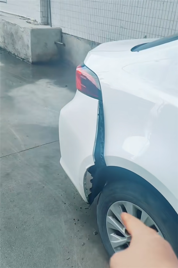 豐田卡羅拉停路邊 車屁股被狗撞裂開(kāi) 網(wǎng)友：日系吸能不是吹的