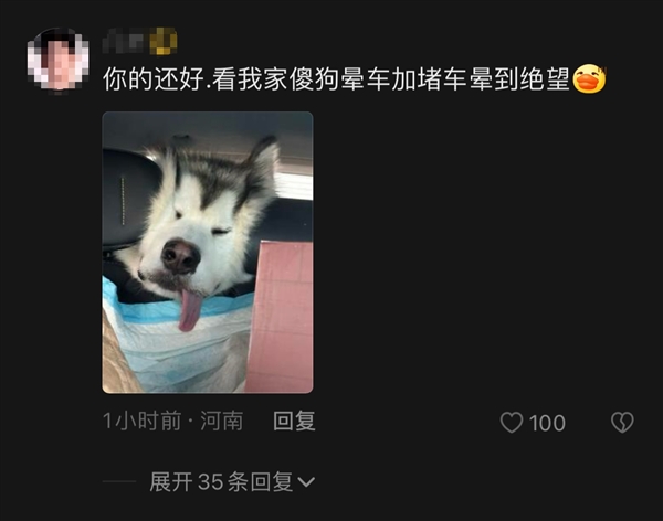 小狗返鄉(xiāng)途中暈車還被貓打了一巴掌：畫面讓人忍俊不禁 狗為啥也暈車?