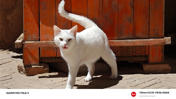 友商壓力大了！小米MIX Fold 3實(shí)拍出爐：徠卡雙長(zhǎng)焦太猛 媲美單反