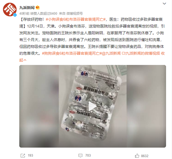 小狗誤食6粒布洛芬器官衰竭死亡 醫(yī)生提醒：過量用藥危害甚大