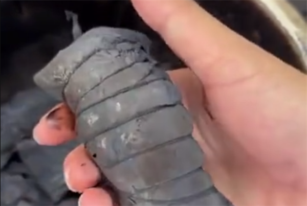 黑暗料理！女子忘關(guān)火通宵煮棕 次日鍋蓋如鍍烤