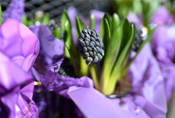 4999元太香了！尼康發(fā)布尼克爾Z 35mm f/1.4廣角定焦鏡頭