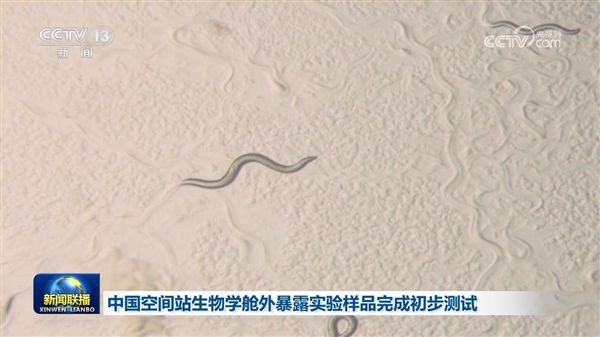 第一次！中國空間站暴露實(shí)驗(yàn)成功完成