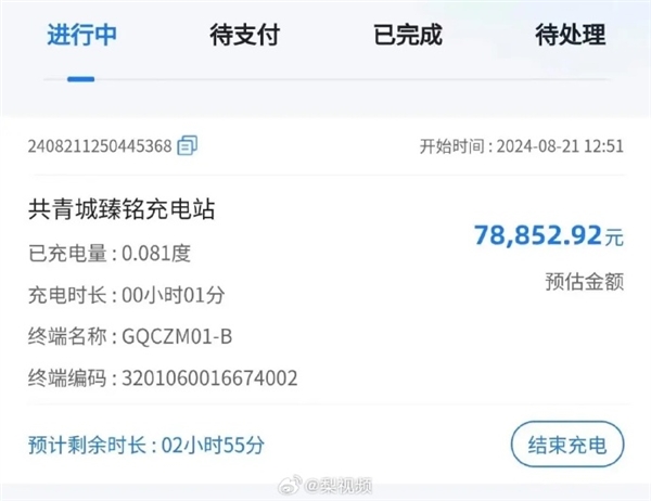 男子吐槽汽車(chē)充電1分鐘估價(jià)7.8萬(wàn) 一套房子沒(méi)了：官方回應(yīng)