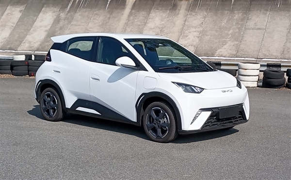 爆款預(yù)訂！比亞迪海鷗申報(bào)：10萬(wàn)內(nèi)純電大殺器來(lái)了