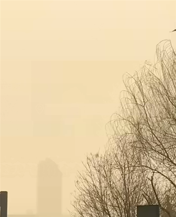 開工第1天西安人均野生兵馬俑：沙塵遮天蔽日 空氣都是土味