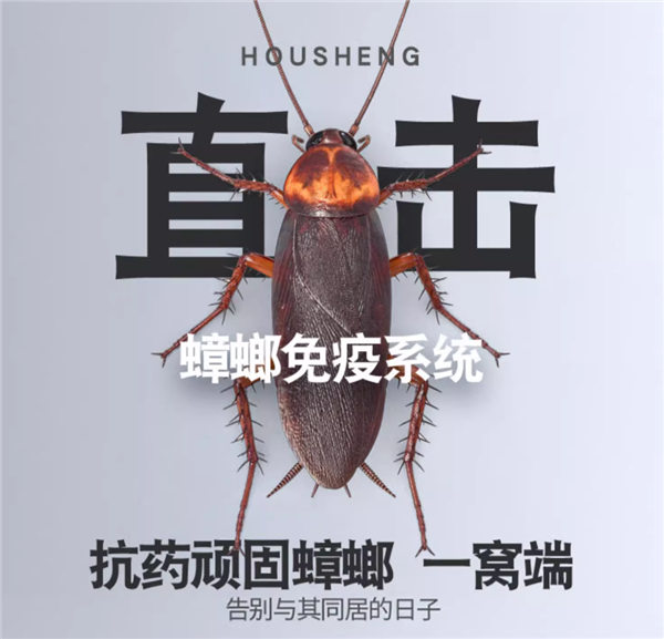 窩端殺:厚生滅蟑膠餌5.8元入夏速囤(京東13元)(圖3) 窩端殺:厚生滅蟑膠餌5.8元入夏速囤(京東13元)