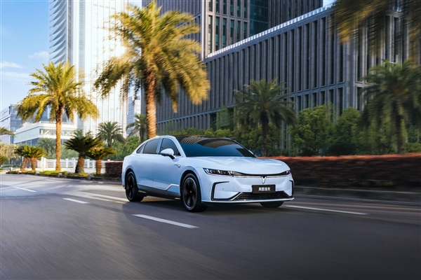 嵐圖汽車銷售公司被罰10萬元：因詆毀競(jìng)品公司