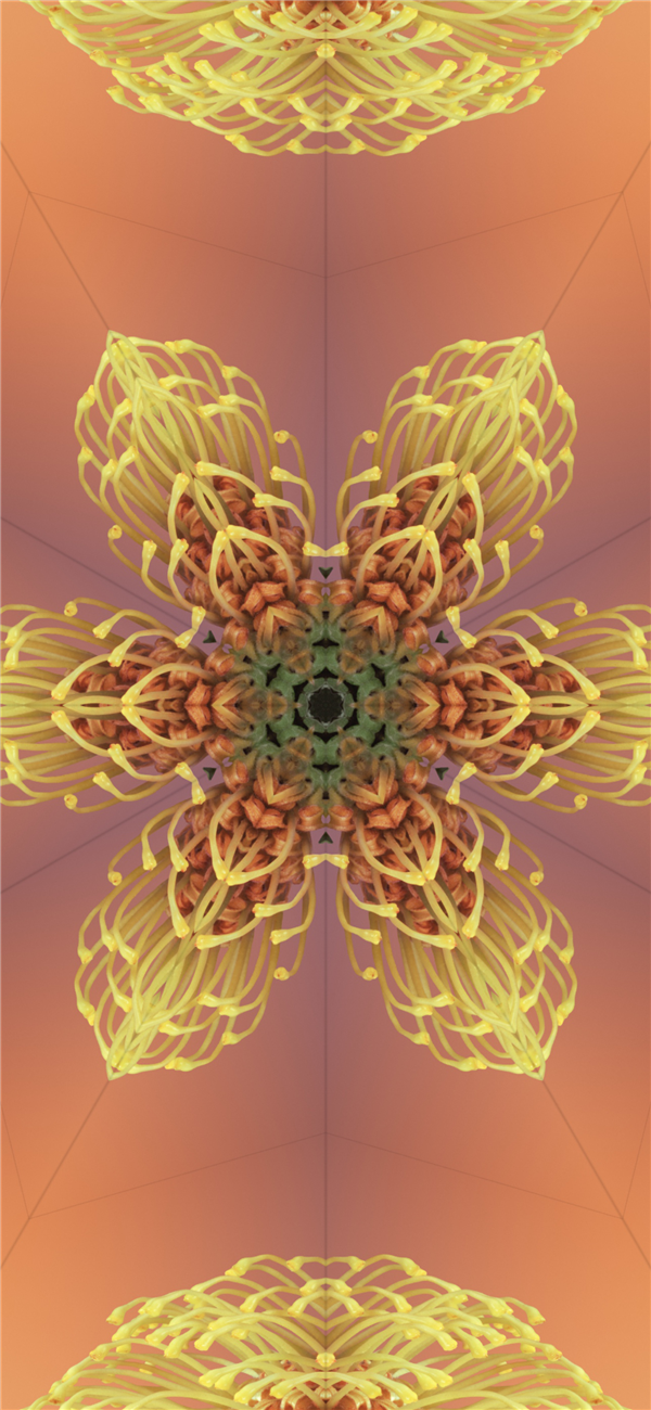 蘋果iOS 17正式版已推送！原裝高清壁紙分享