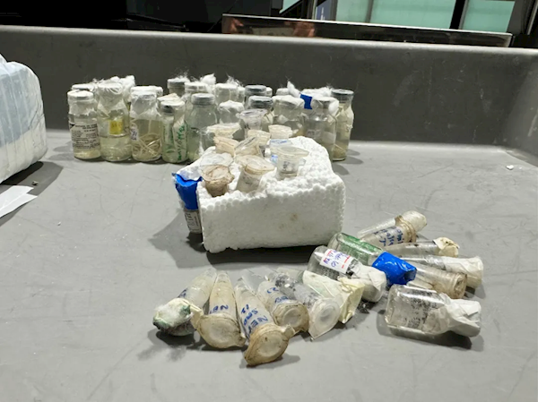 北京大興機場海關查獲57瓶寄生蟲：共5種類別 旅客稱用于實驗