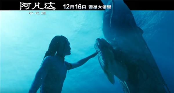 《阿凡達(dá)2》上映2天票房破2億救市：三個小時打斗戲超多 劇情為《阿凡達(dá)3》留下伏筆