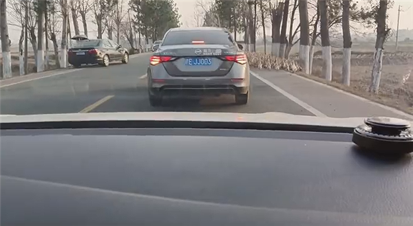 哭笑不得：轎車被群鴨團(tuán)團(tuán)圍住 一動不敢動