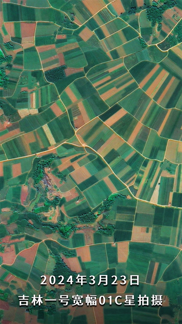 衛(wèi)星看中國菠蘿第一鎮(zhèn)：名副其實(shí)的“菠蘿的?！? h=