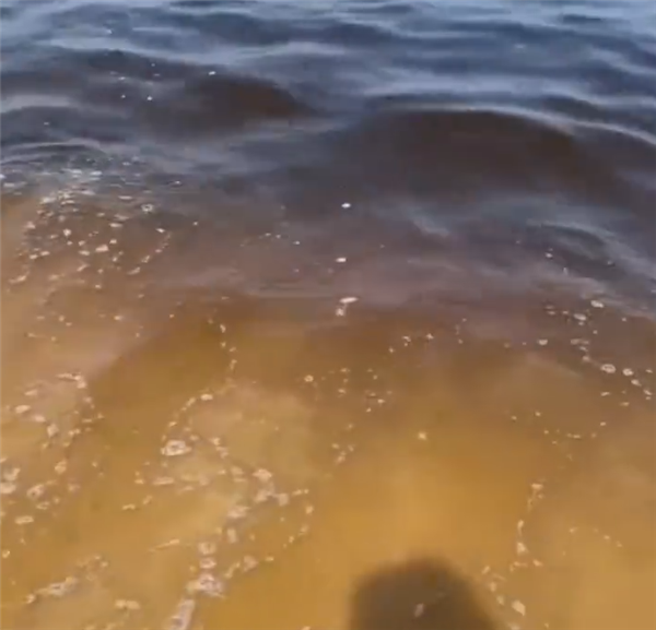 遼寧一海域海水變黑 當(dāng)?shù)鼗貞?yīng)：藻類爆發(fā) 暫時(shí)沒辦法