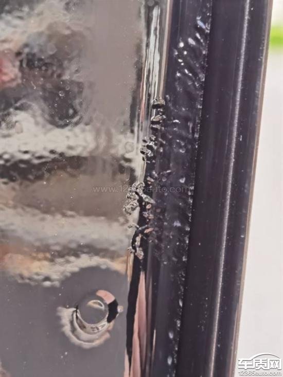車門邊緣批量爆漆 奇瑞星途瑤光遭車主集體投訴