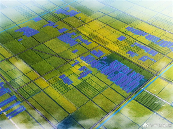 養(yǎng)魚發(fā)電兩不誤！上海崇明100兆瓦漁光互補(bǔ)項(xiàng)目開工