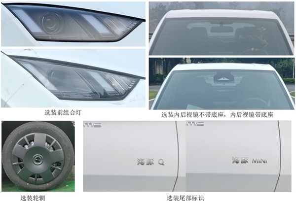 爆款預(yù)訂！比亞迪海鷗申報(bào)：10萬(wàn)內(nèi)純電大殺器來(lái)了