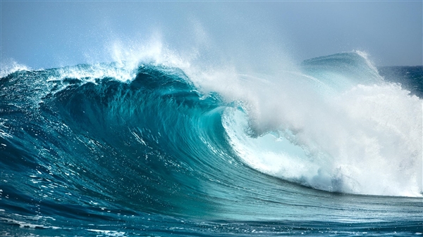 臺(tái)風(fēng)后生蠔遍地市民組團(tuán)趕海：不建議盲目參與