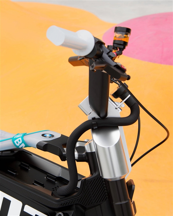 寶馬隆重推出寶驢