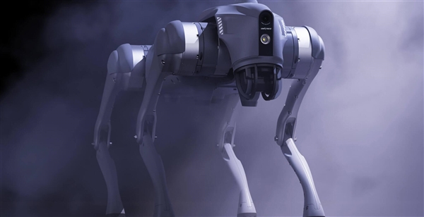 賽場顯眼包！杭州馬拉松機器狗戴兔子帽當配速員