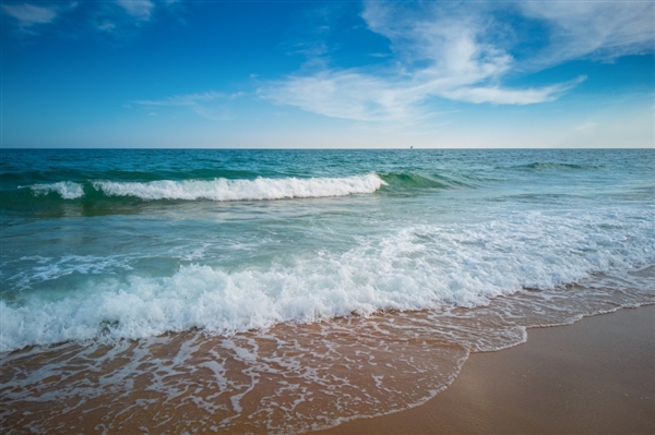 沒(méi)開(kāi)玩笑！新疆“海鮮”大豐收了 有三文魚、南美對(duì)蝦等：江浙滬管夠