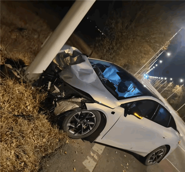 昊鉑GT開(kāi)定速巡航撞上電線桿報(bào)廢 車(chē)主：車(chē)真結(jié)實(shí) 只有右手骨折