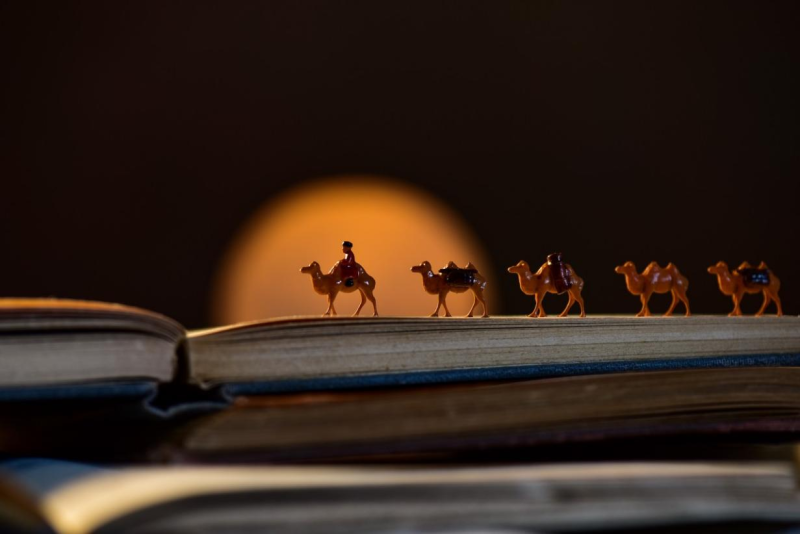 “一帶一路”教育朋友圈擴(kuò)大，東軟教育科技貢獻(xiàn)了怎樣的智慧？